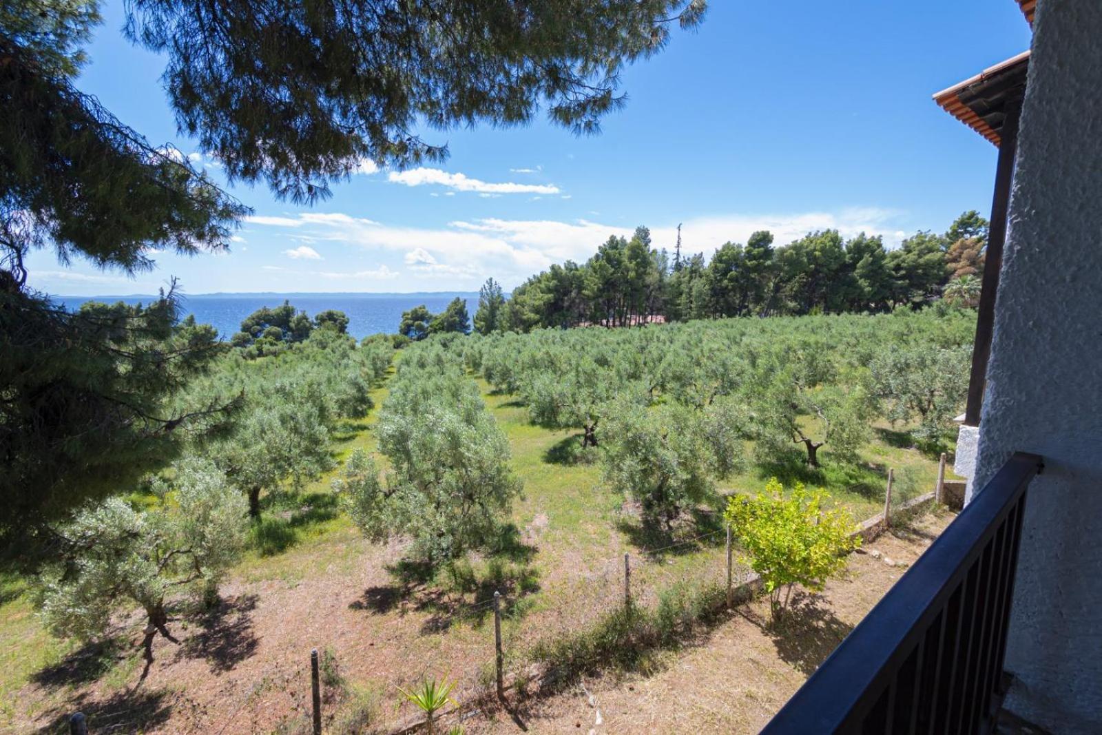 Holiday home Elva By Rentalspro - Halkidiki Metamorfosi (Sithonia)